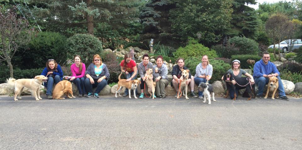 Better World Books Employees Help Dogs at Homeward Bound Shelter