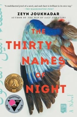 The Thirty Names of Night : A Novel
by Zeyn Joukhadar